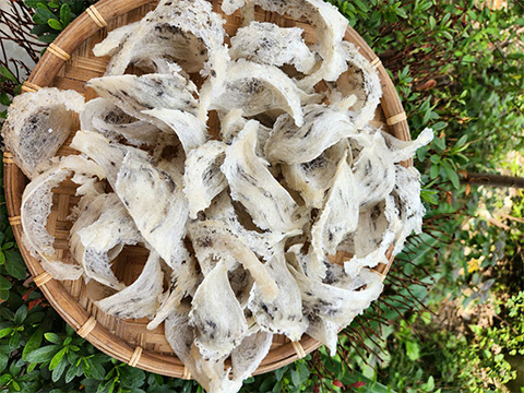 Yến đảo thiên nhiên 100%