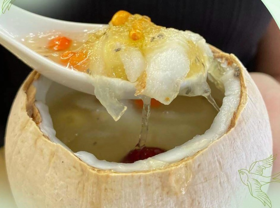 Yến chưng tươi quả dừa tươi