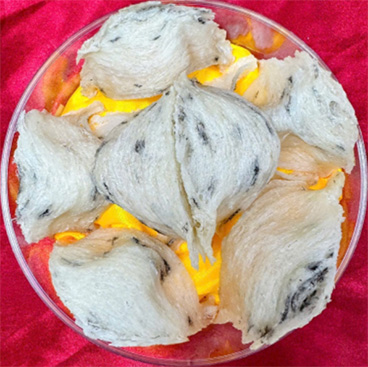 Yến sơ chế đặc biệt